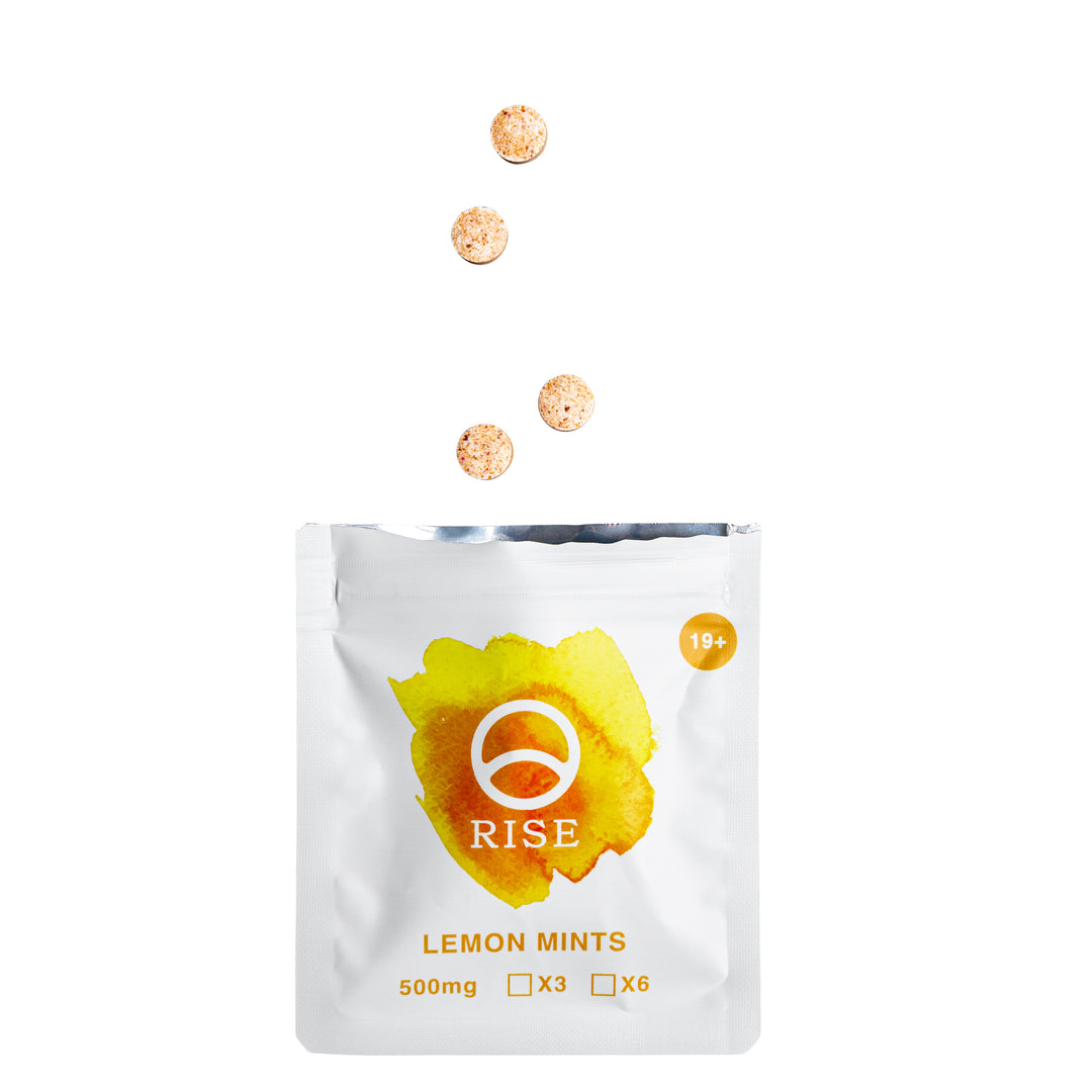 RISE SHROOMS MACRODOSE MINTS | 3000MG PSILOCYBIN