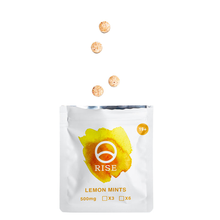 RISE SHROOMS MACRODOSE MINTS | 3000MG PSILOCYBIN