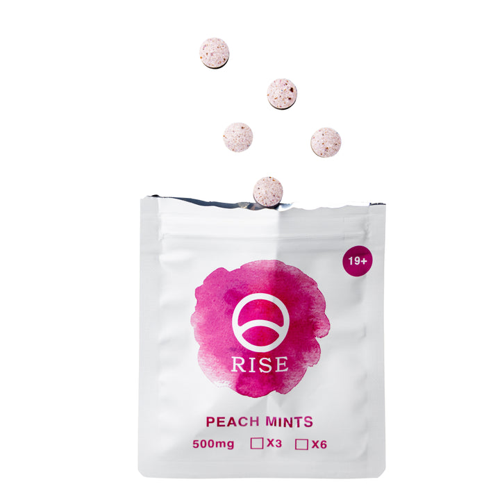 RISE SHROOMS MACRODOSE MINTS | 3000MG PSILOCYBIN