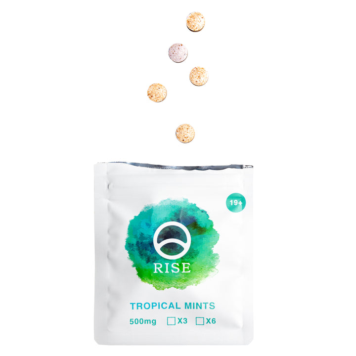 RISE SHROOMS MACRODOSE MINTS | 3000MG PSILOCYBIN