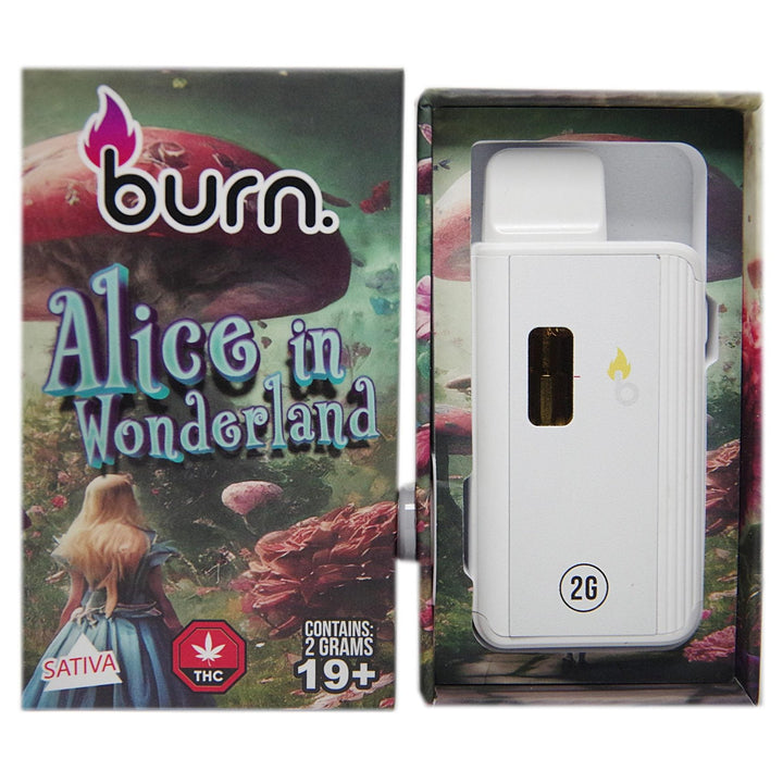 BURN THC DISPOSABLE VAPE PEN | 2000MG