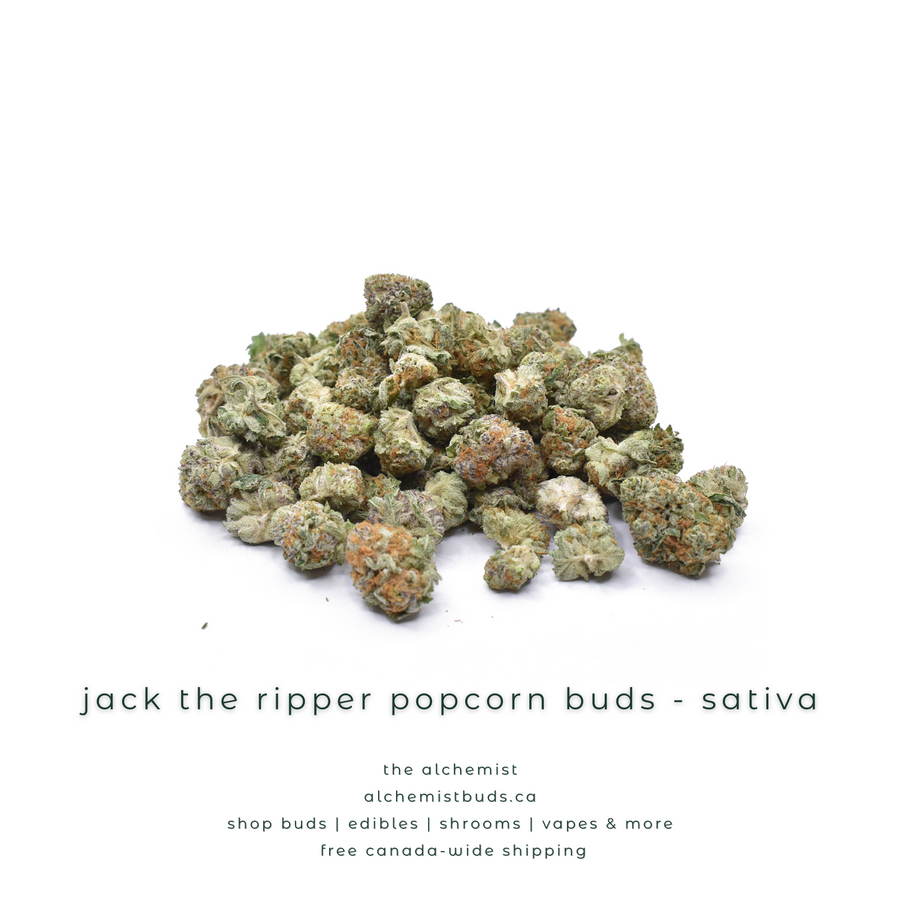 shop alchemistbuds.ca for best price on jack the ripper popcorn buds strain