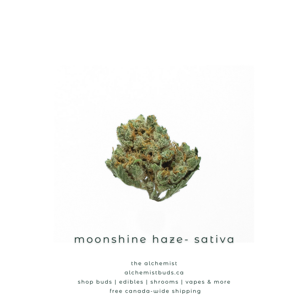 AAAA | MOONSHINE HAZE - SATIVA