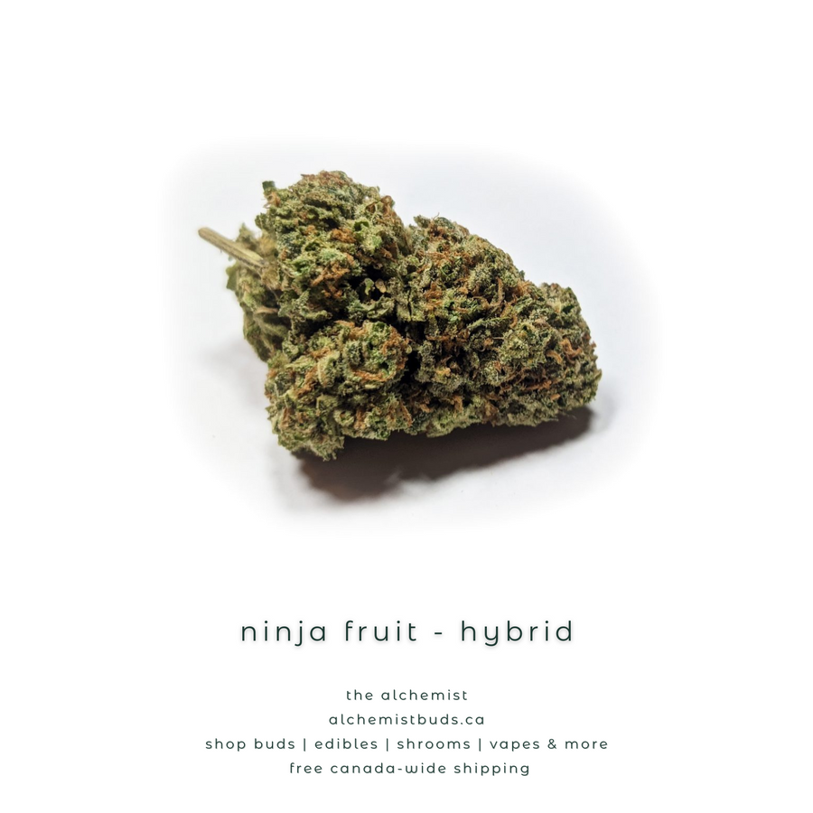 shop alchemistbuds.ca for best price on ninja fruit strain