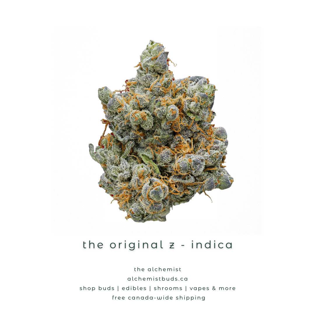 AAAA SPECIAL CONTAINS SEEDS | THE ORIGINAL Z - INDICA