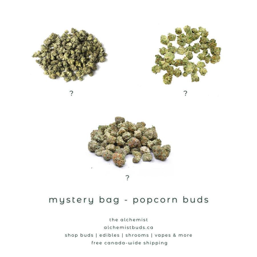 shop alchemistbuds.ca for best price on popcorn buds mystery bag strain
