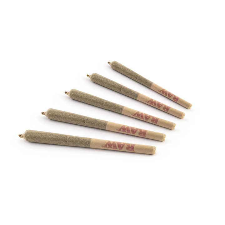 JOINTS | KING SIZE - INDICA