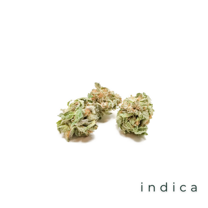 AAAA POPCORN BUDS | TOM FORD PINK - INDICA