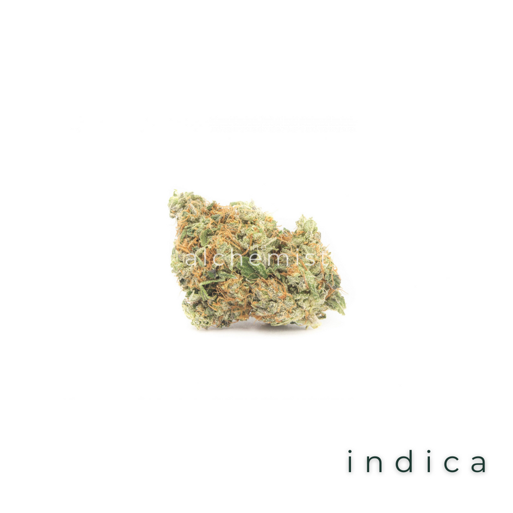 White Kush buds have long neon green pepper-shaped nugs with patches of light minty green and a spattering of long thin almost translucent amber hairs.