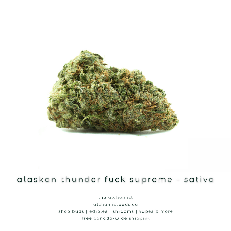 shop alchemistbuds.ca for best price on Alaskan thunder fuck  strain