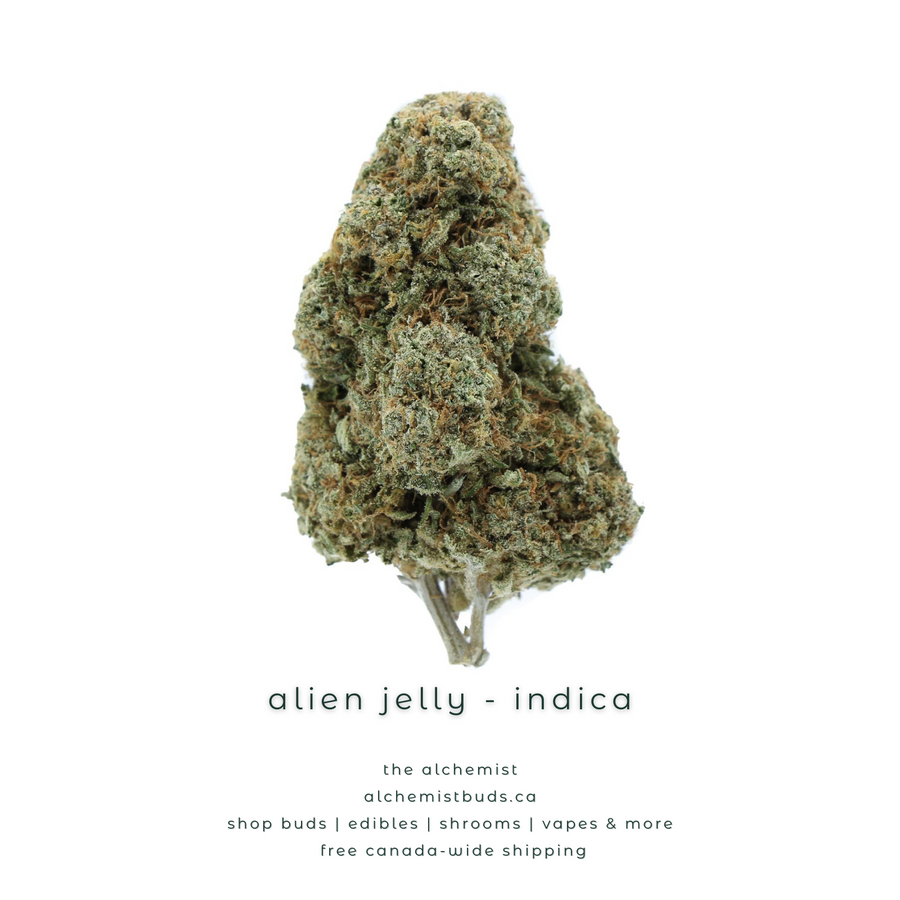shop alchemistbuds.ca for best price on alien jelly strain