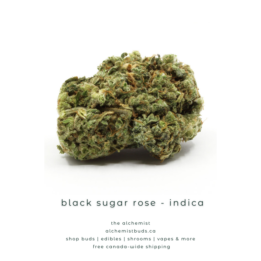 shop alchemistbuds.ca for best price on black sugar rose strain