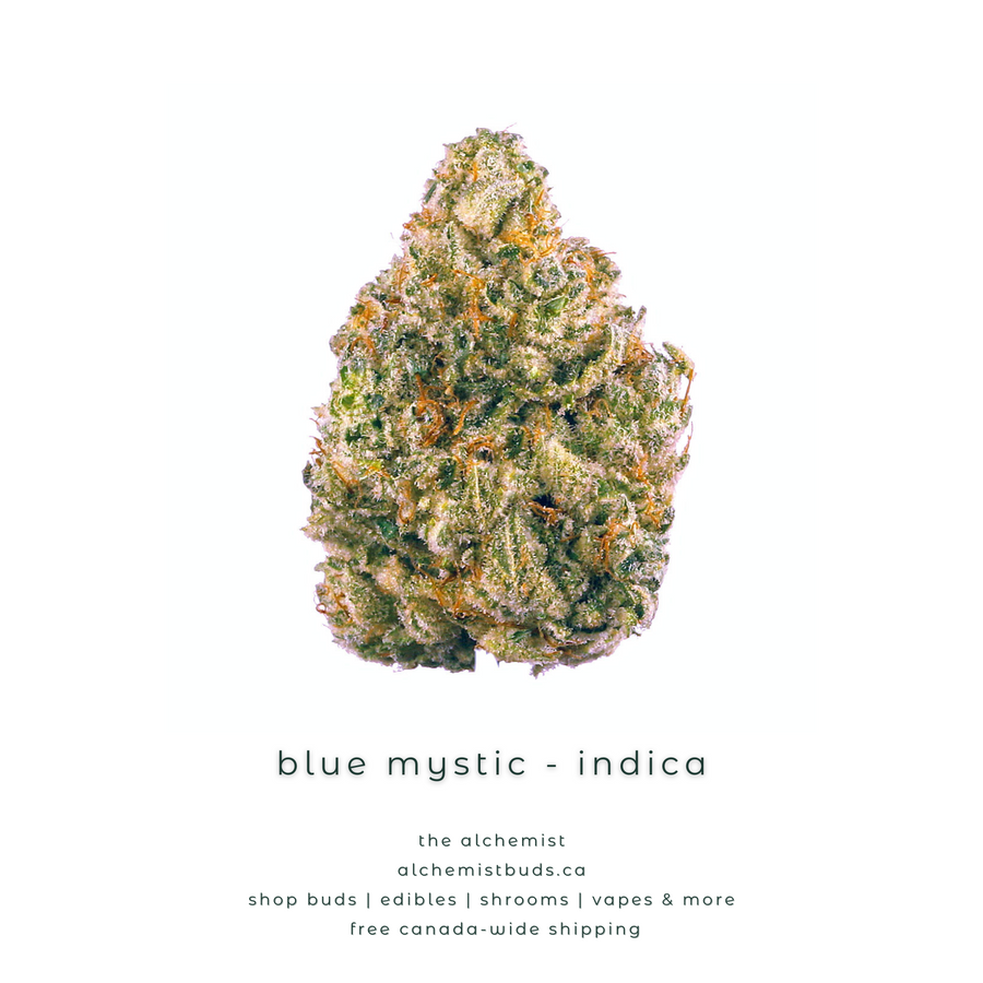 shop alchemistbuds.ca for best price on blue mystic strain