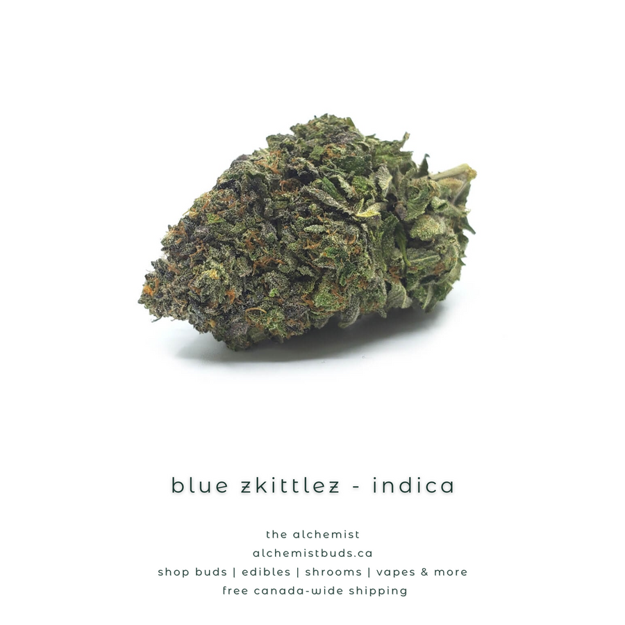 shop alchemistbuds.ca for best price on blue zkittlez strain
