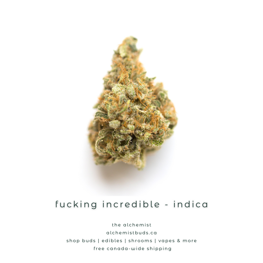 shop alchemistbuds.ca for best price on fucking incredible strain