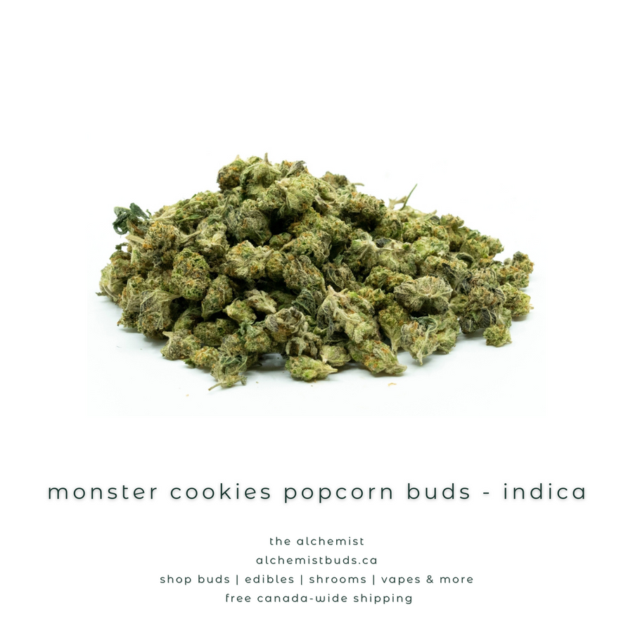 shop alchemistbuds.ca for best price on monster cookies popcorn buds strain