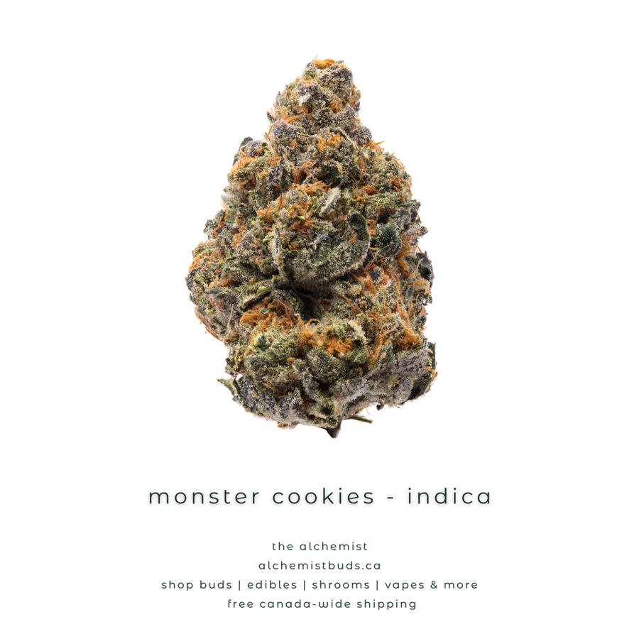 shop alchemistbuds.ca for best price on monster cookies strain