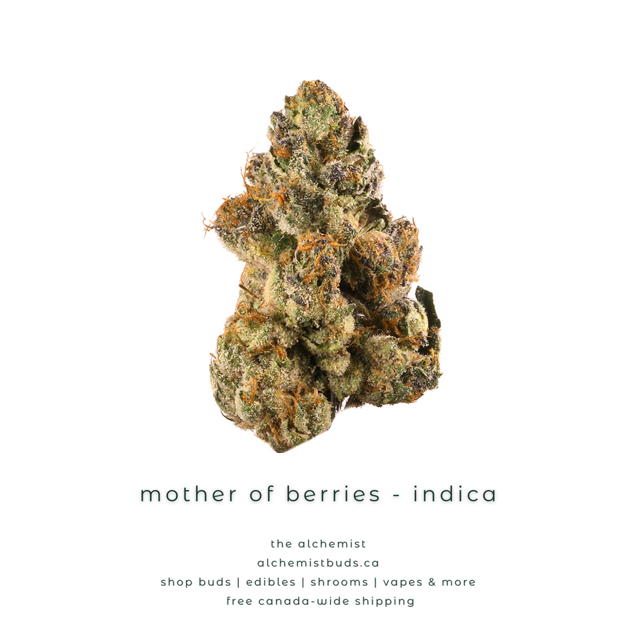 shop alchemistbuds.ca for best price on mother of berries strain