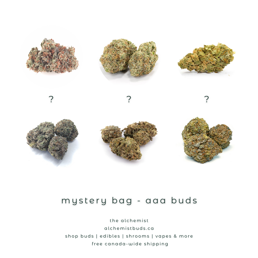 shop alchemistbuds.ca for best price on mystery bag aaa strains