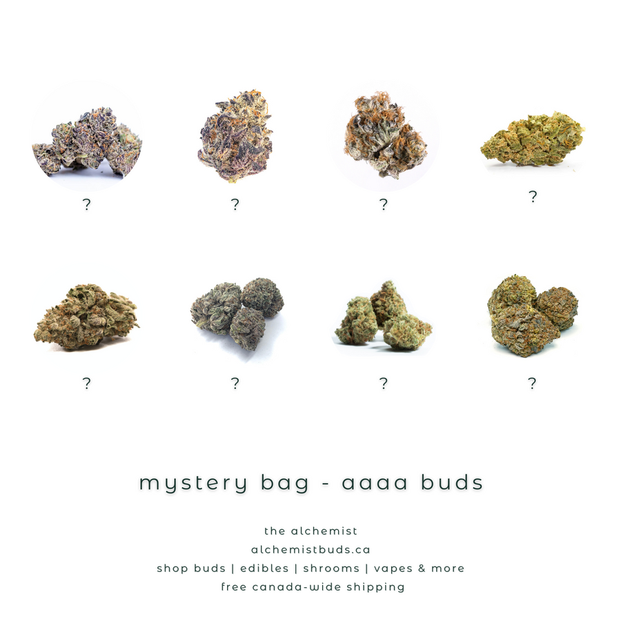 shop alchemistbuds.ca for best price on mystery bag aaaa strains
