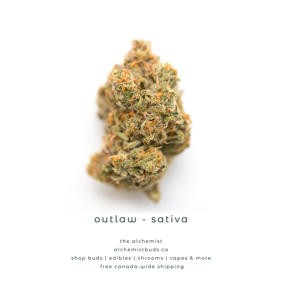 shop alchemistbuds.ca for best price on outlaw strain