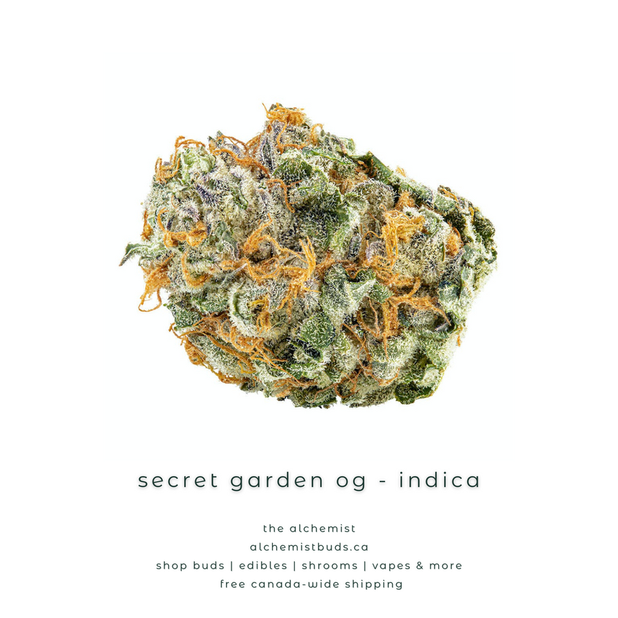 shop alchemistbuds.ca for best price on secret garden og strain