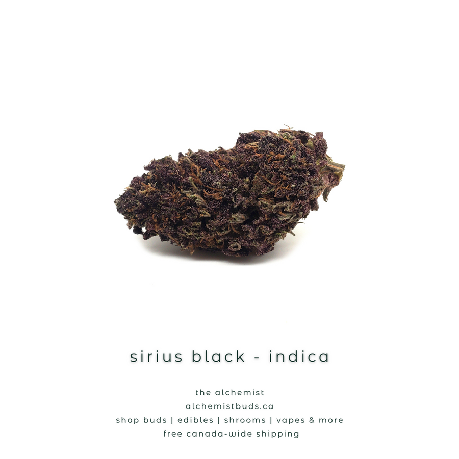 shop alchemistbuds.ca for best price on sirius black strain