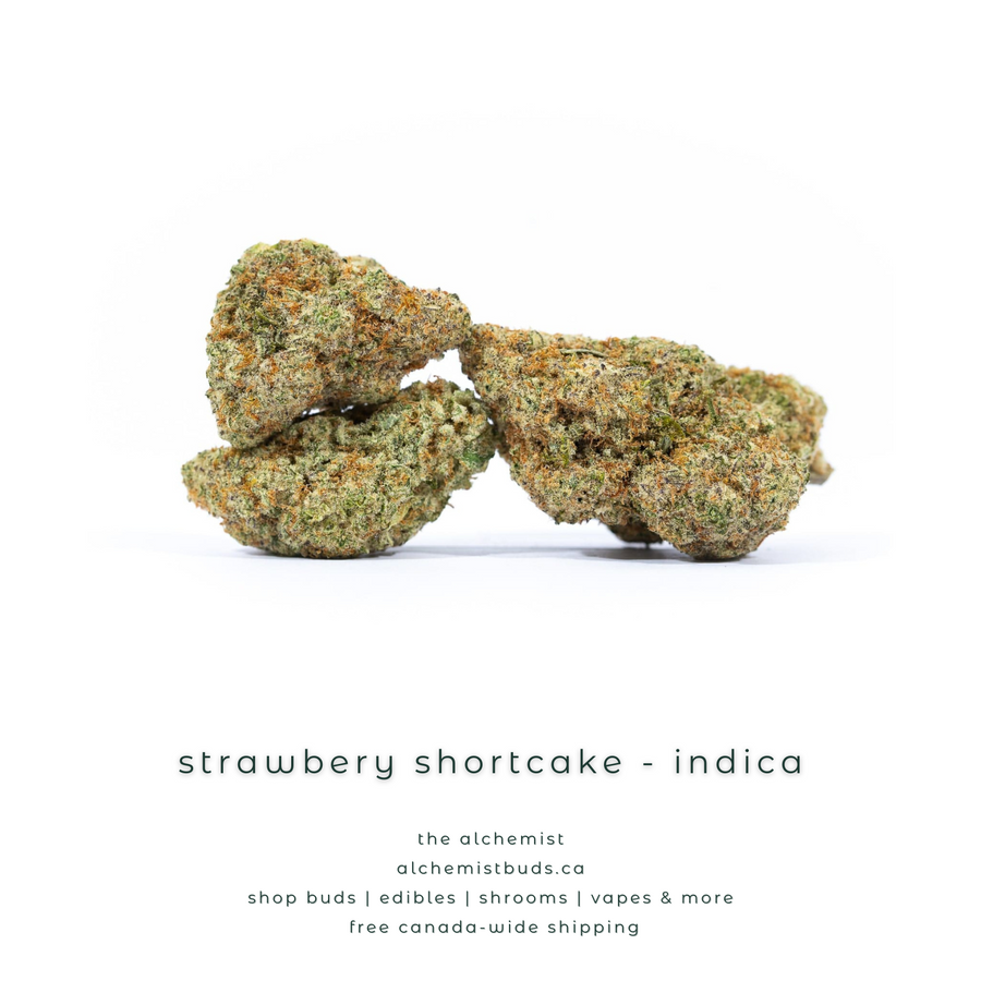 shop alchemistbuds.ca for best price on strawberry shortcake strain